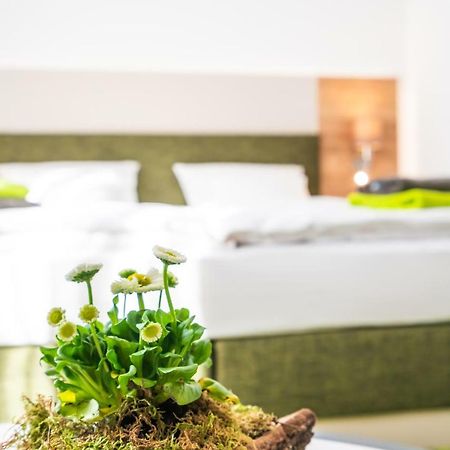 Hotel-Pension Treppengasse Nr 6 อัลเทนบวร์ก ภายนอก รูปภาพ